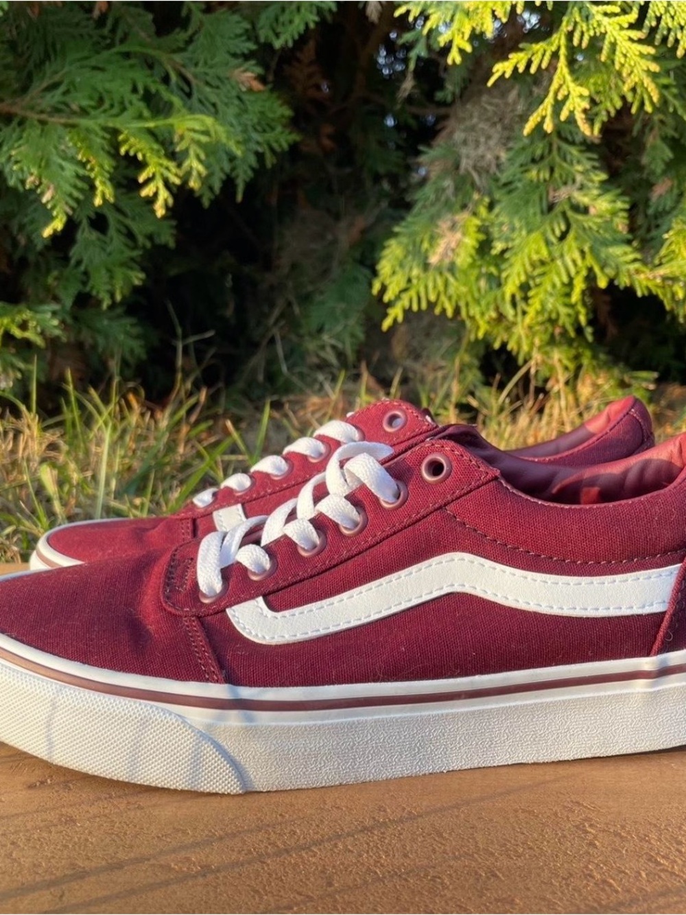 Burgundy Vans Old Skool Shoes